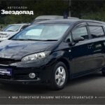 Toyota Wish, 2010 - фото автомобиля